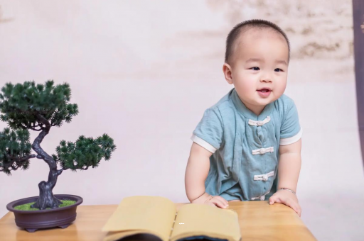 偃师可爱的企鹅宝宝
